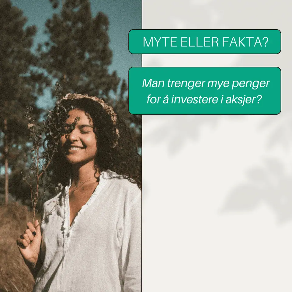 Investeringsmyte