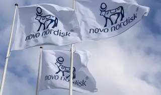 Novo Nordisk-aksjen stiger