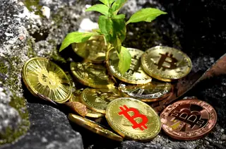 Bitcoin Halving.