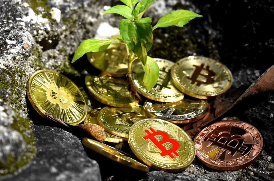 Bitcoin Halving.