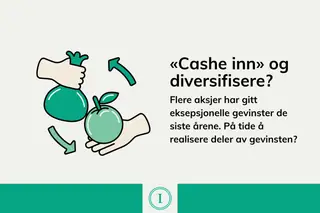 «Cashe inn» og diversifisere?